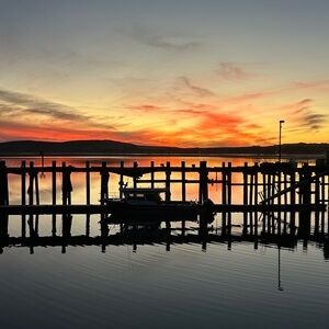 Meet your Posher, Kelley